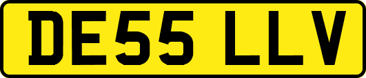 DE55LLV