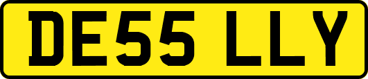 DE55LLY