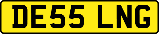 DE55LNG