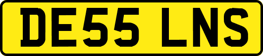 DE55LNS