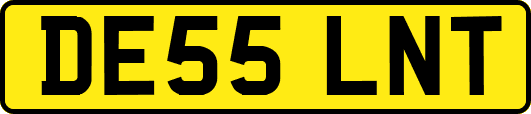 DE55LNT