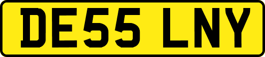 DE55LNY
