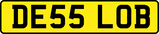 DE55LOB