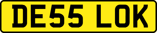 DE55LOK