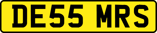 DE55MRS