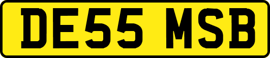 DE55MSB