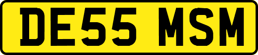 DE55MSM