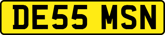 DE55MSN
