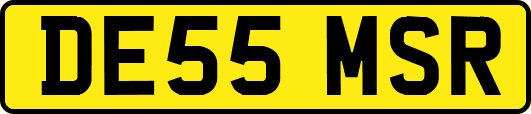 DE55MSR