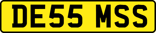 DE55MSS