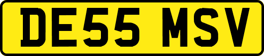 DE55MSV