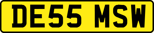 DE55MSW