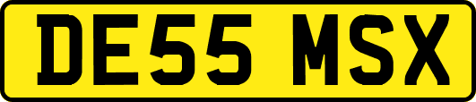 DE55MSX