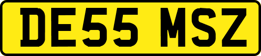 DE55MSZ