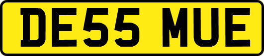 DE55MUE