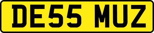 DE55MUZ