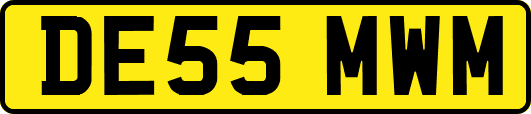 DE55MWM