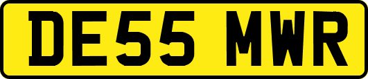 DE55MWR