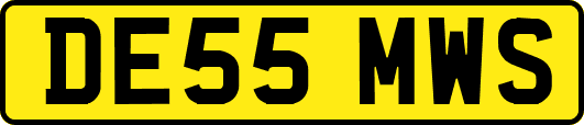 DE55MWS