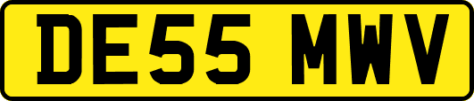 DE55MWV