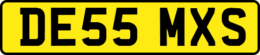 DE55MXS
