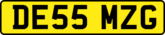 DE55MZG