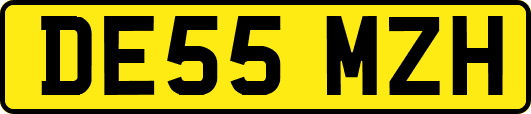 DE55MZH