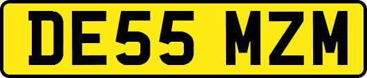 DE55MZM