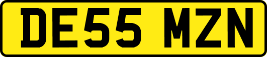 DE55MZN