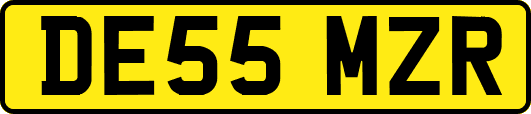 DE55MZR