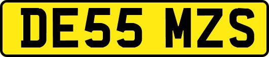 DE55MZS