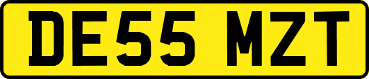 DE55MZT