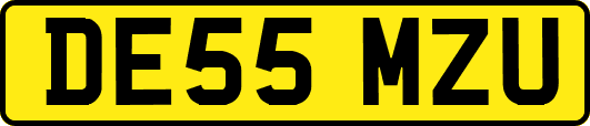 DE55MZU