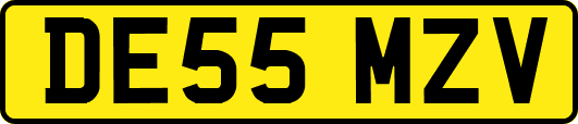 DE55MZV