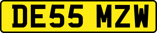 DE55MZW