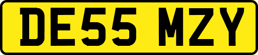 DE55MZY