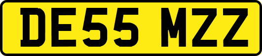 DE55MZZ