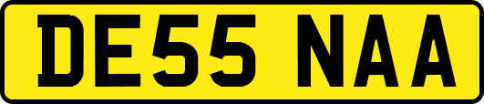 DE55NAA