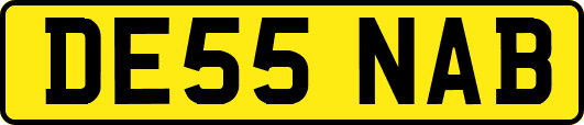 DE55NAB