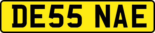 DE55NAE