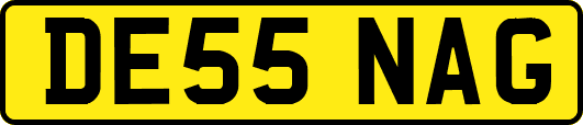 DE55NAG
