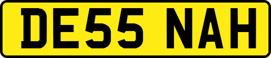 DE55NAH