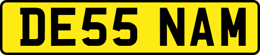 DE55NAM