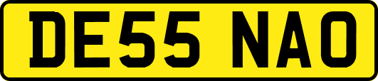 DE55NAO
