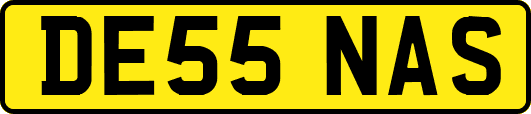 DE55NAS