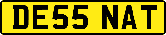 DE55NAT