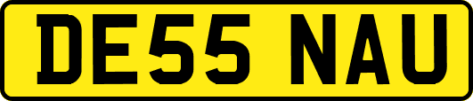 DE55NAU