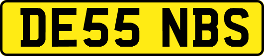 DE55NBS