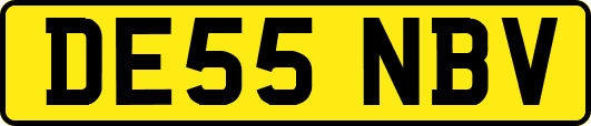 DE55NBV