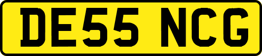 DE55NCG